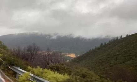 Deja frente frío agua nieve y candelilla en Arteaga