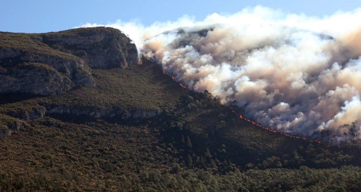 Sequía provocaría un incremento en incendios forestales en Coahuila