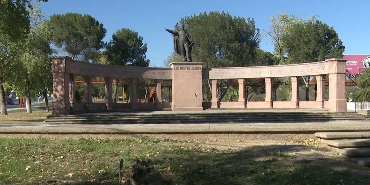 Instala Municipio 30 centros de acopio para pinos navideños
