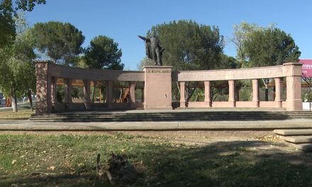 Instala Municipio 30 centros de acopio para pinos navideños
