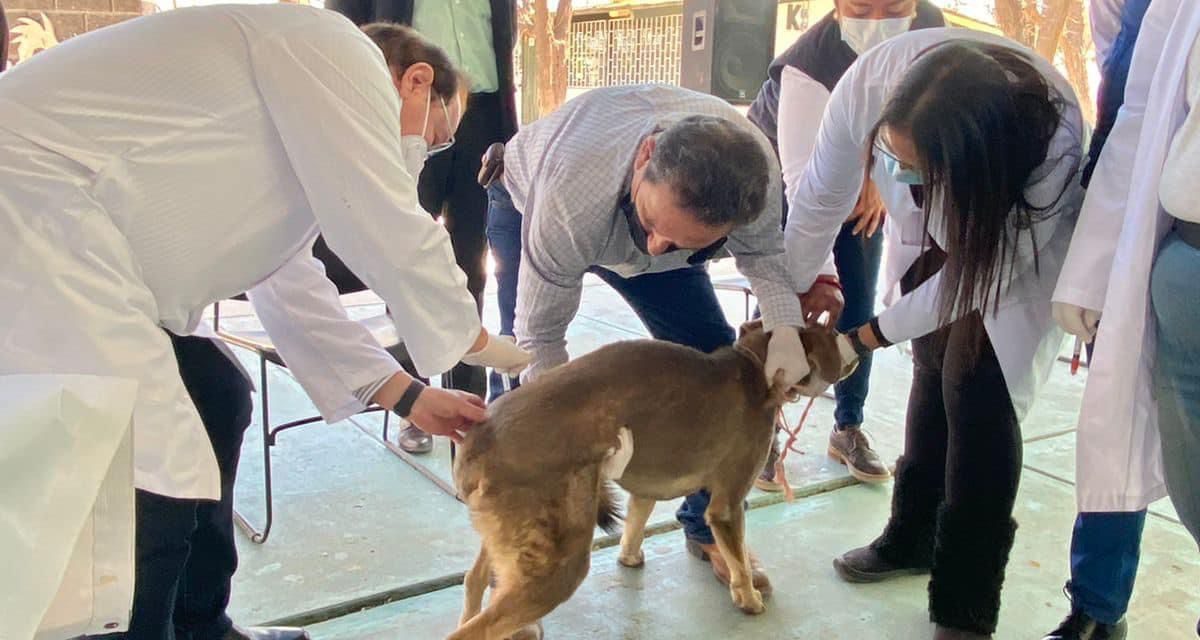 Inicia jornada de vacunación antirrábica canina para ejidos de Coahuila