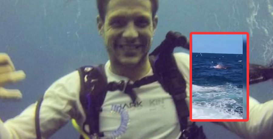 De película de terror: Nadador fue atacado por un tiburón en Australia; no pudieron salvar su vida (Video)