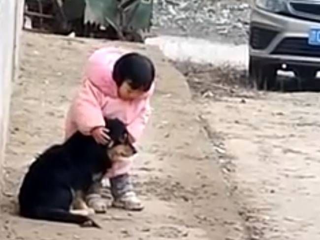 Niña tapa los oídos de un perrito para que no se asuste por los fuegos artificiales