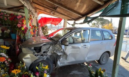 Hombre destroza una florería en Saltillo tras accidente