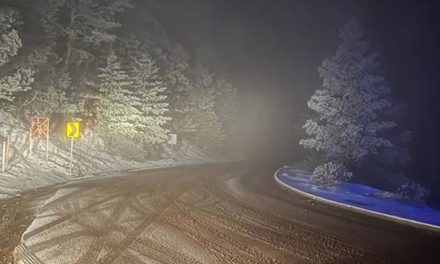 Así fue la nevada en Arteaga