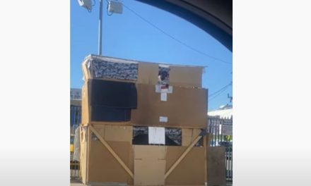 Indigente sorprende al mundo al fabricar una casa de cartón de dos pisos