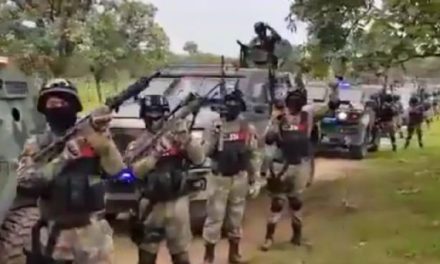 Michoacán es un laboratorio de violencia para el crimen organizado