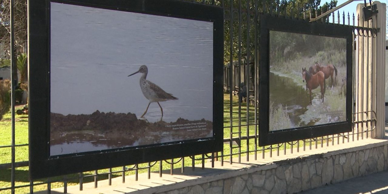 Inauguran exposición ‘Humedales de Coahuila’