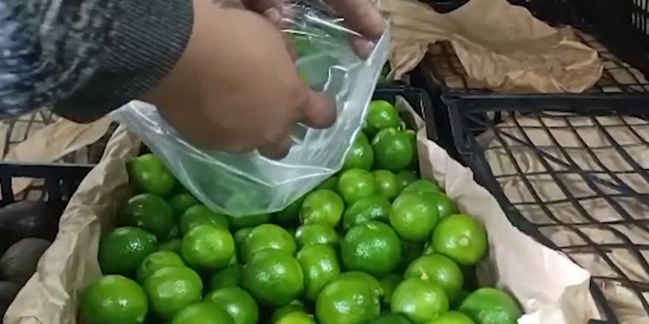 Limón seguirá por las nubes en Saltillo