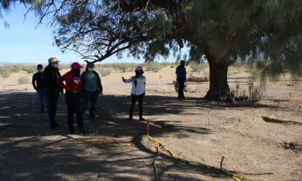 Coahuila inicia plan emergente en sitio de fosas comunes e inhumación clandestina