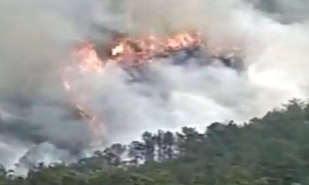 Se estrella avión con 132 personas a bordo en las montañas de China (videos)