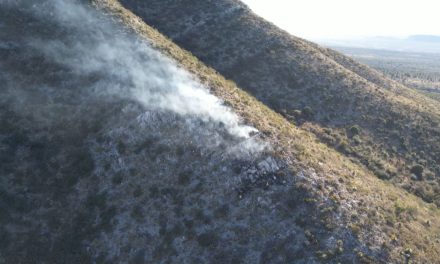 Fue provocado incendio en Sierra de Zapalinamé