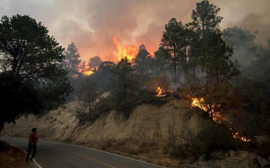 Autoridades aseguran que el incendio en Santiago no entrará a Coahuila