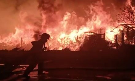 Así se vivió el gran y voraz incendio que movilizó a cuerpos de auxilio en Saltillo (Videos)