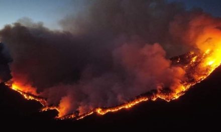 Arteaga en alerta por incendio de Potrero Redondo en sierra de Santiago, Nuevo León (Video)