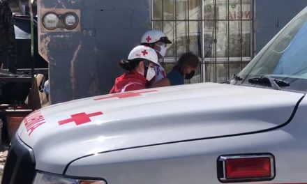 Perro callejero ataca a mujer en Saltillo; le mordió el rostro y tuvo que ser llevada de emergencia al hospital