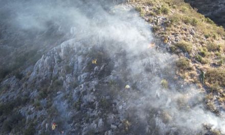 Incendio en faldas del Cañón de San Lorenzo provocó la movilización de brigadas forestales en Saltillo (Fotos)