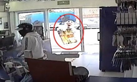 ¡Corre, Simi! Botarga huye de un asalto en la Ciudad de México (video)