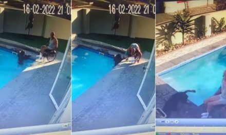 Rescata a su perrito hombre en silla de ruedas (Video)
