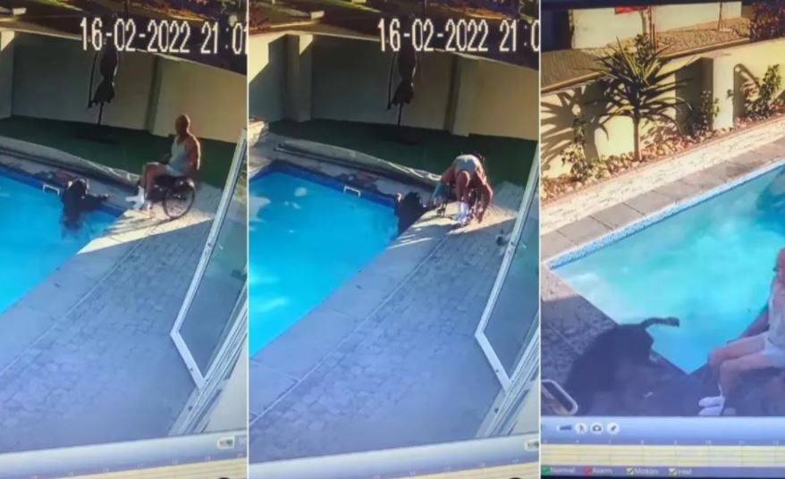 Rescata a su perrito hombre en silla de ruedas (Video)