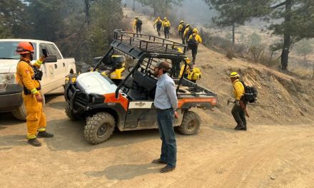 Arteaga en alerta; despliegan brigadas para amortiguar incendio en los límites con Nuevo León