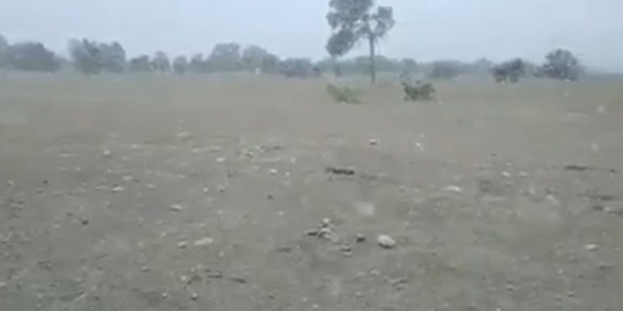 Cae atípica nevada en Múzquiz, Coahuila