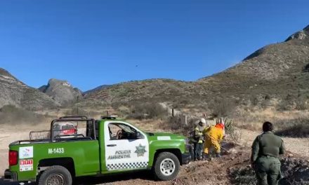 Se registra incendio en la Sierra de Zapalinamé