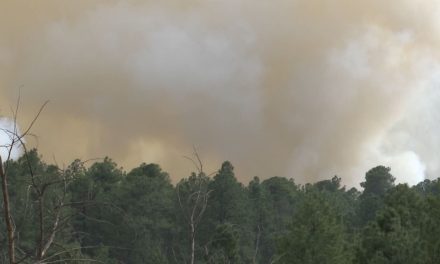 Sin sanción detenido por incendio en la Sierra de Arteaga