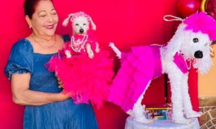 Festejan a lo grande los XV años de una perrita (Video)