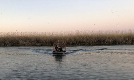 Localizan cuerpos de dos niños que flotaban sobre el Río Bravo