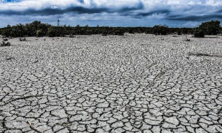 Se agudiza problema de agua potable por sequía en Coahuila