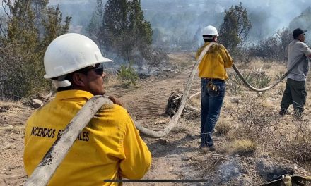 Avance del 60 por ciento en labores de sofocación en incendio de Arteaga