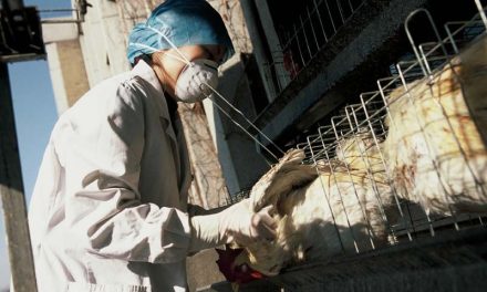 Detectan caso humano de gripe aviar H5N1 en Estados Unidos