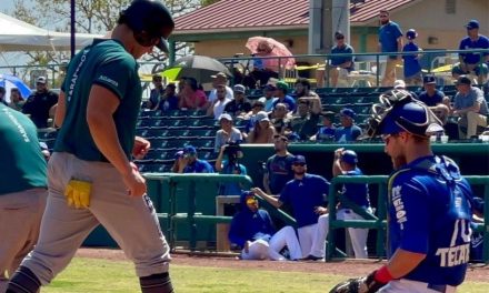 Liga Mexicana de Beisbol tendrá juegos de 7 entradas para la próxima temporada