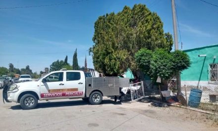 Joven de 17 años asesinó a apuñaldas y violó a su tía en la Laguna; ya fue detenido