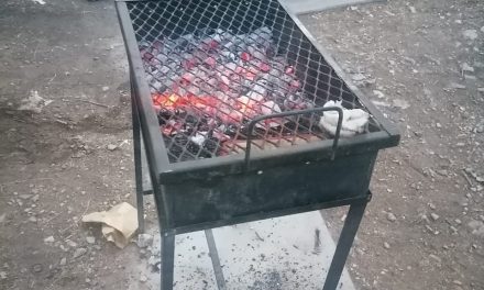 No se hizo la ‘carnita asada’; detienen a dos prender carbón al interior del bosque en Arteaga