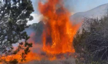 Controlan 95 por ciento incendio en Arteaga