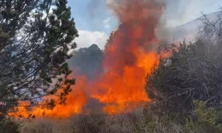 Continúa el combate de incendio forestal en El Diamante de Arteaga