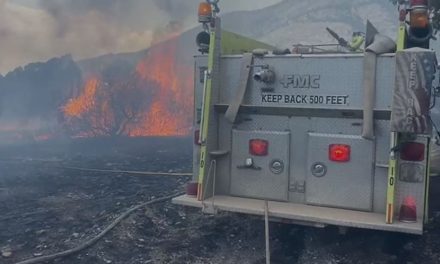 Fuerte incendio amenaza a El Diamante en Arteaga