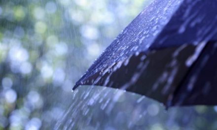 ¡A sacar el paraguas! Se esperan lluvias para toda la semana en Saltillo