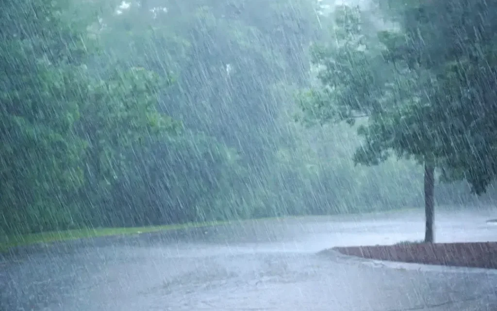 Llegan primeras lluvias a Arteaga