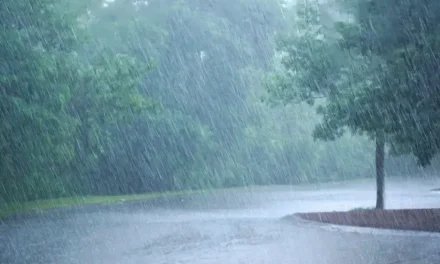 Llegan primeras lluvias a Arteaga