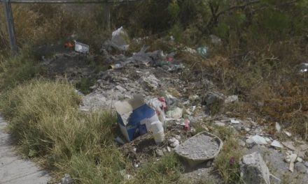 Llegaron las lluvias… y también los mosquitos a Saltillo; sector Salud refuerza campaña de fumigación