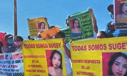 Piden apoyo a Gobierno de Coahuila para localizar a desaparecida en Mazatlán