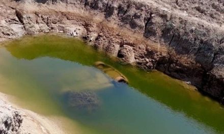 Familia desaparece en el 2021; los encuentran en estado de descomposición en un pozo de agua en NL