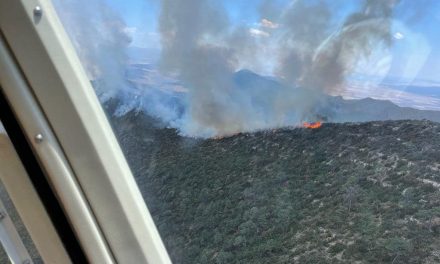 Sin control: avanzan incendios en la región Sureste