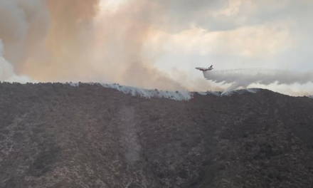 ‘Estamos haciendo todos los esfuerzos’: Chema Fraustro sobre incendio en Cañón de San Lorenzo