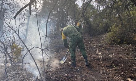 Controlan en un 90 por ciento incendio en Arteaga