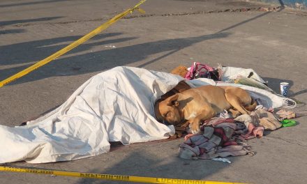 Perrito del Metro Candelaria viraliza las redes; resguardo el cadáver de su dueño por horas