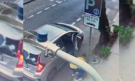 VIDEO: Captan como un conductor abandona perrito en plena calle